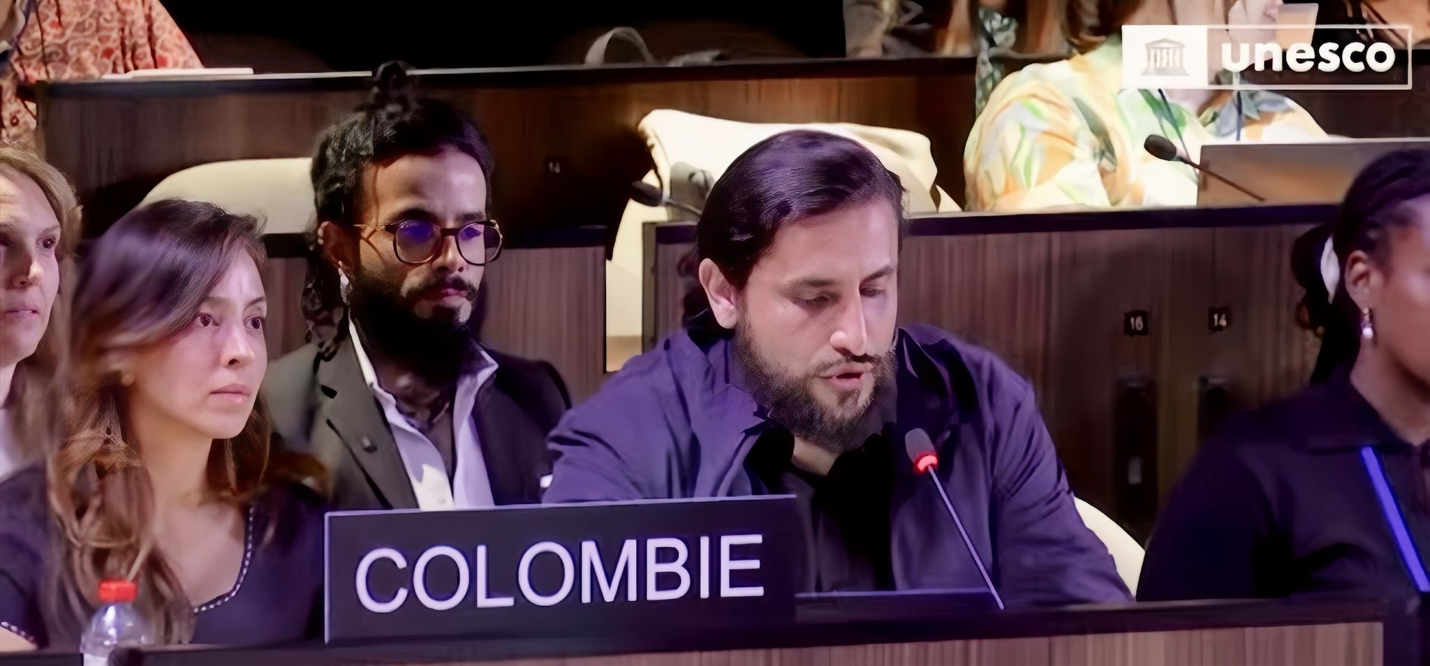 Viceministro de Cultura 