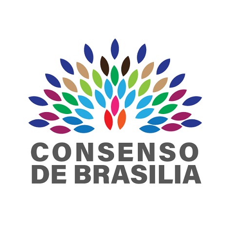 Logo CONSENSO DE BRASILIA