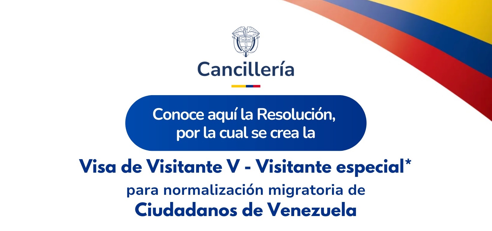 Visa Visitante V 