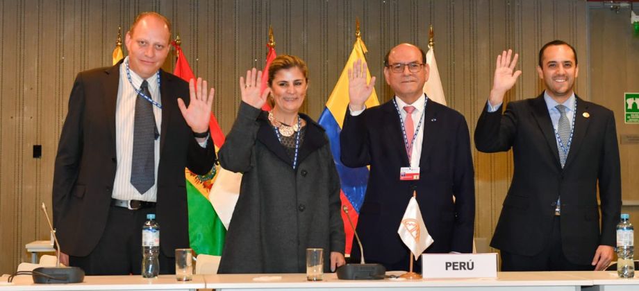 Viceministra de Asuntos Multilaterales Laura Gil