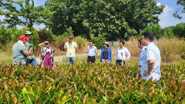 Concluye con éxito la primera visita de expertos colombianos para el intercambio de conocimientos técnicos agrícolas en el sur de Vietnam