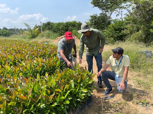Concluye con éxito la primera visita de expertos colombianos para el intercambio de conocimientos técnicos agrícolas en el sur de Vietnam