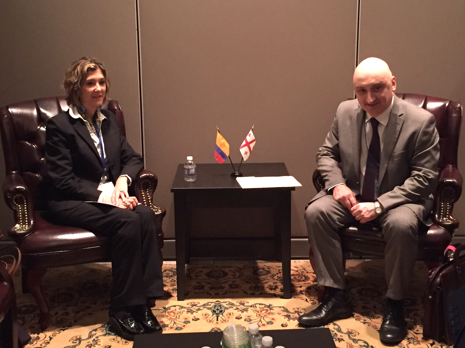 Viceministra Patti Londoño se reunió en Nueva York con el primer viceministro de Relaciones Exteriores de Georgia