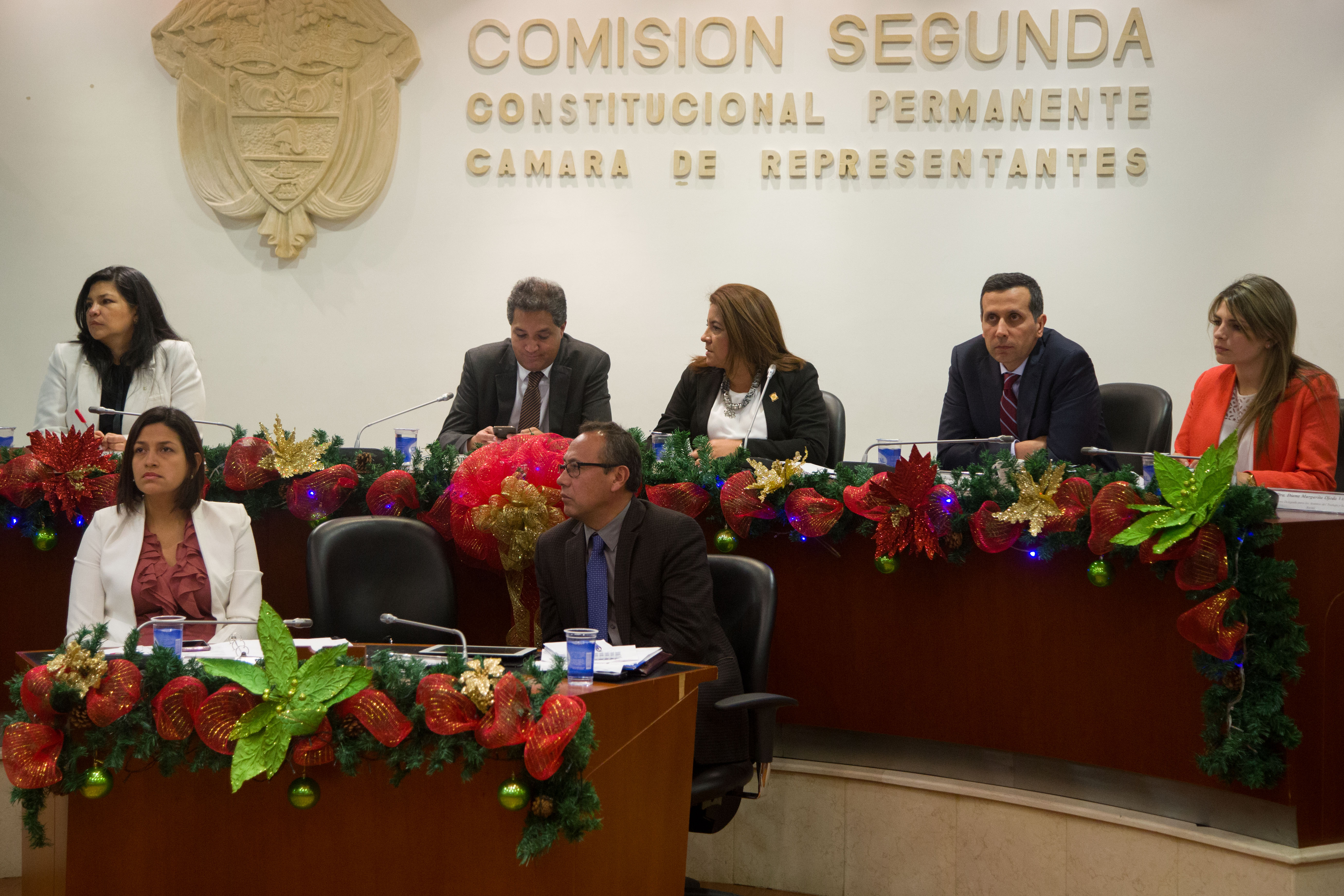 El Viceministro Francisco Echeverri