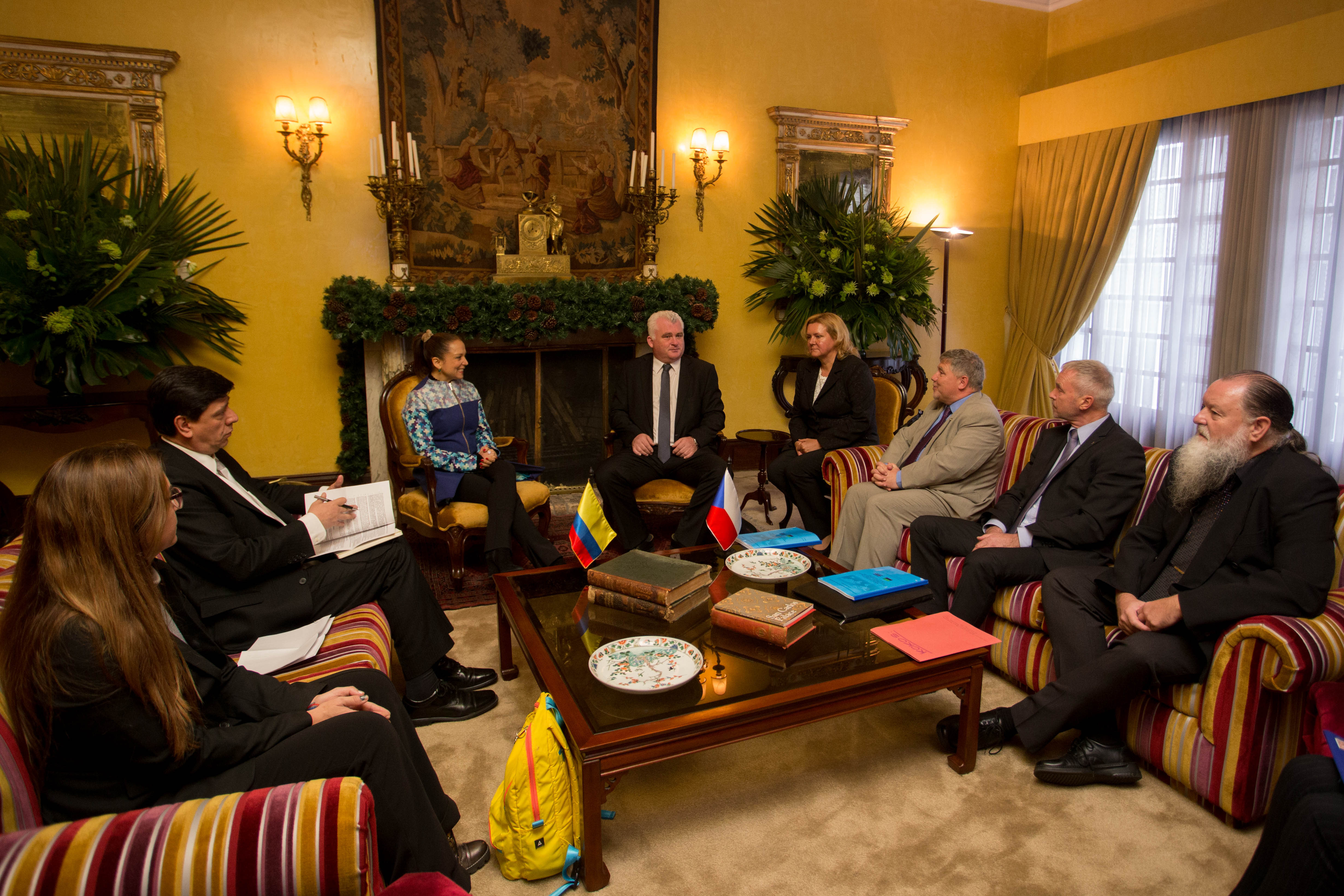 Viceministra de Asuntos Multilaterales se reunió con el Comité Económico, de Agricultura y Transporte del Senado de República 