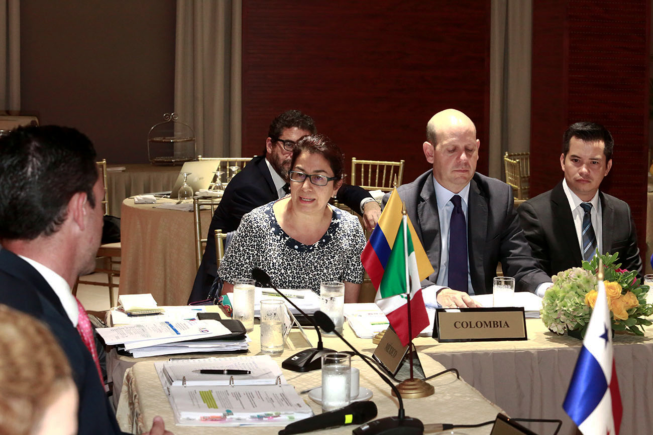 Comisionada Presidencial por Colombia participó en la Reunión de Comisión Ejecutiva del Proyecto Mesoamérica realizada en Panamá