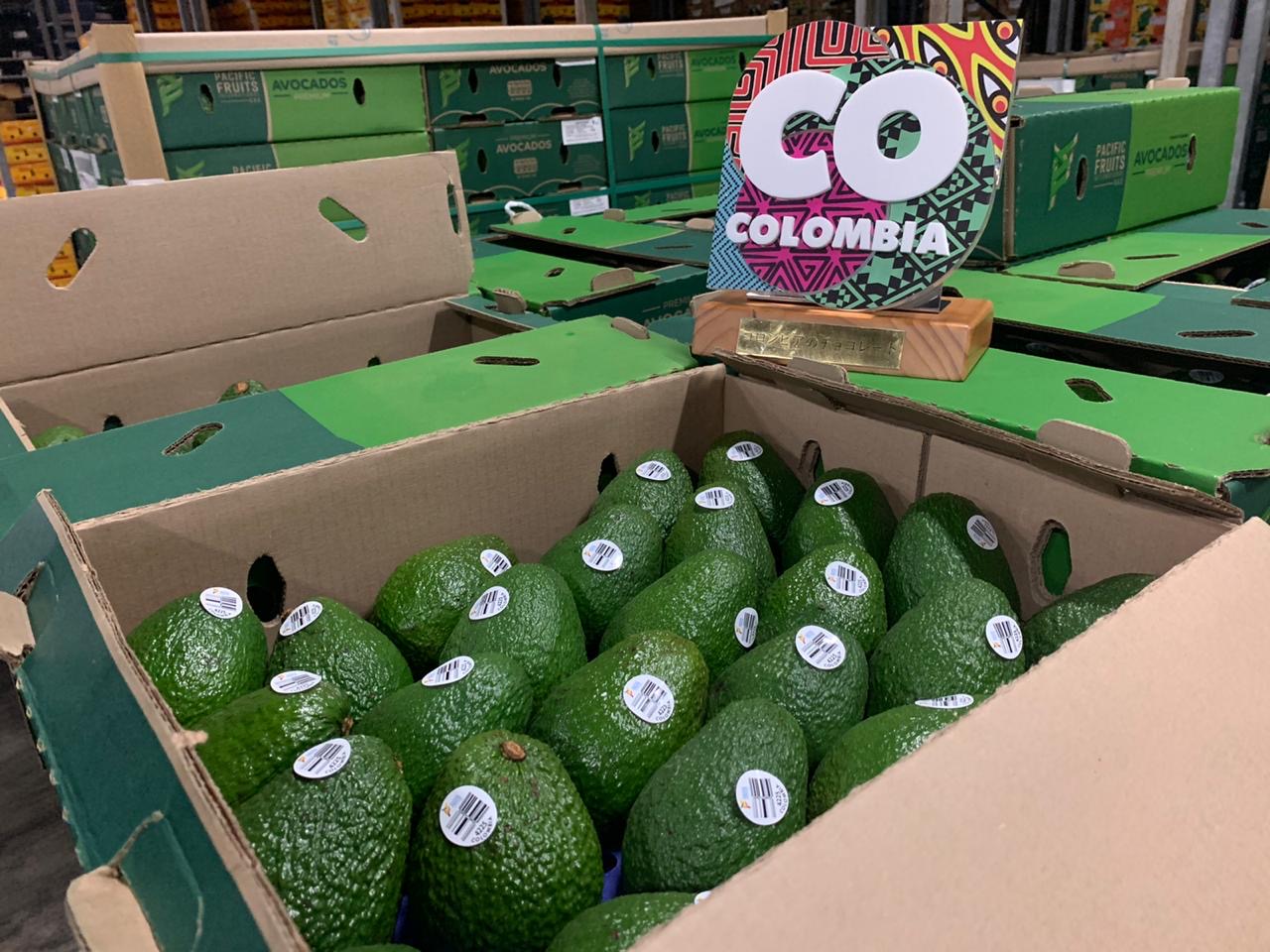 Arribó a puerto japonés la primera exportación de aguacates 