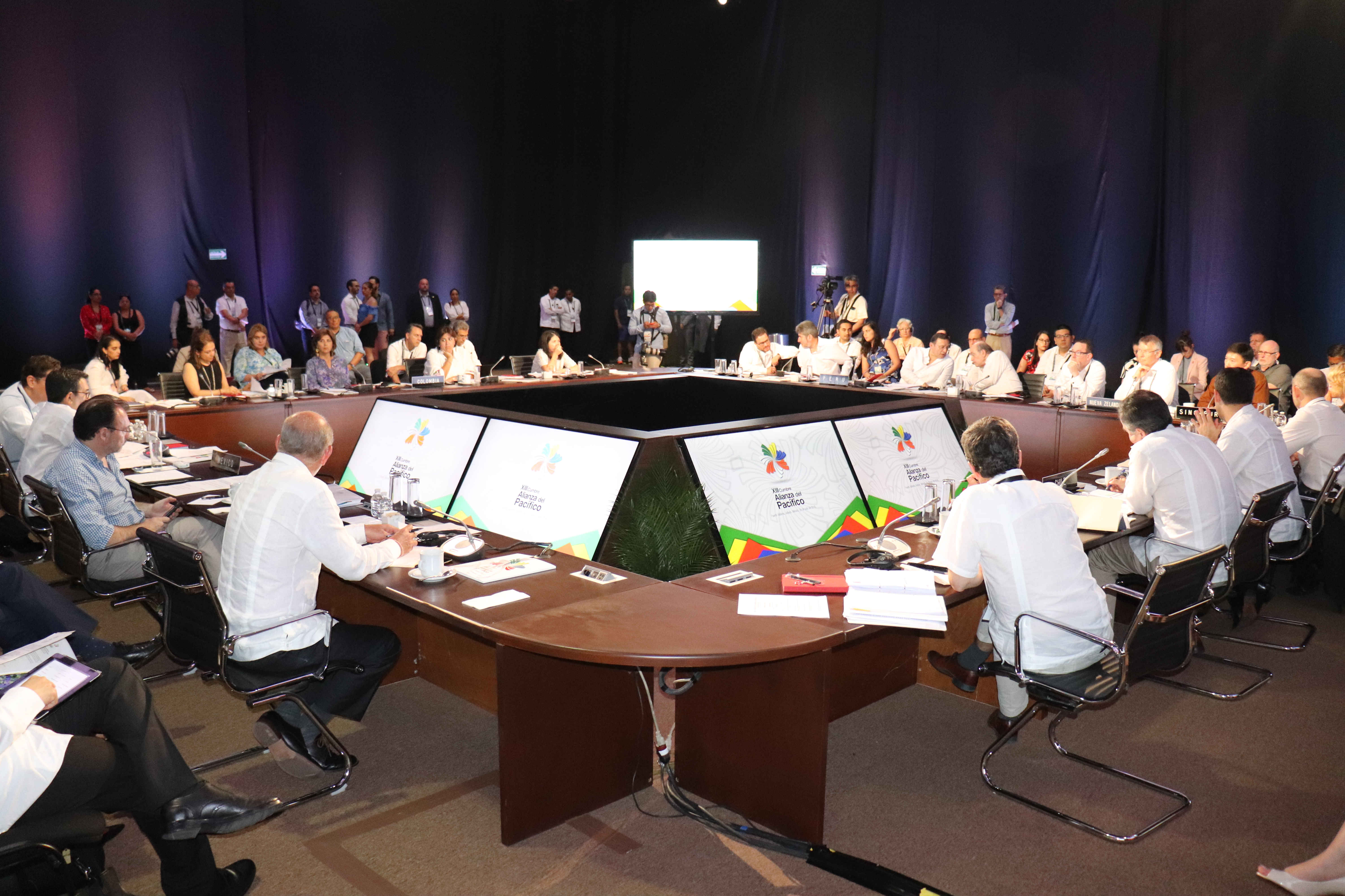 Delegación de Colombia en reunión de Consejo de Ministros de Cumbre de la AP es muestra de que el Presidente Santos cree en las mujeres