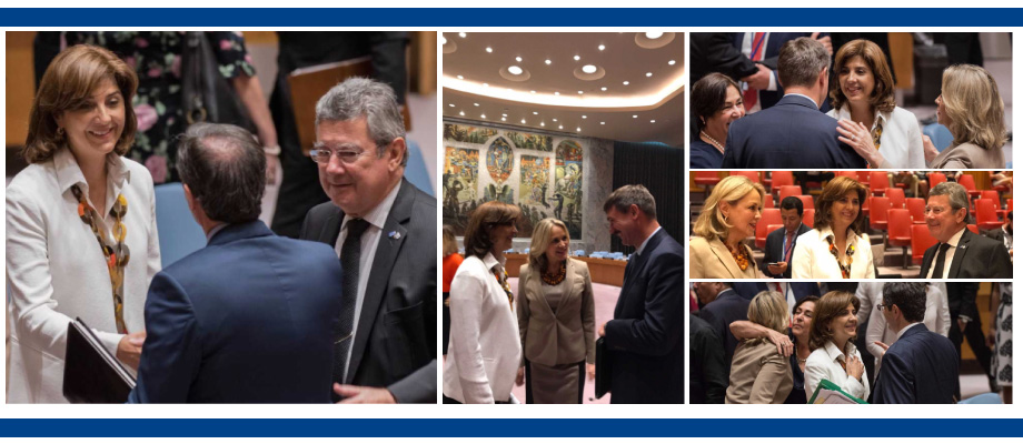 Representantes del Consejo Seguridad de la ONU celebraron la aprobación por unanimidad de resolución 2366