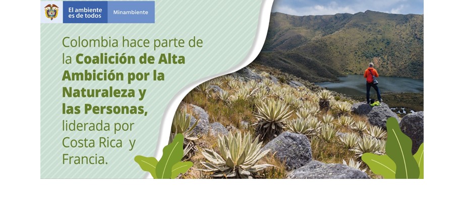 Colombia junto a 50 países se comprometen a la protección del 30% de las áreas terrestres y marítimas del planeta para el año 2030 en el lanzamiento de la Coalición de la Alta Ambición por la Naturaleza