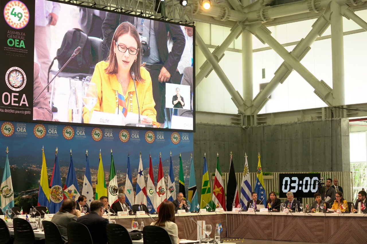 Colombia realizó anuncios importantes sobre derechos de personas con discapacidad y personas mayores en el Diálogo con la Sociedad Civil de la Asamblea de OEA