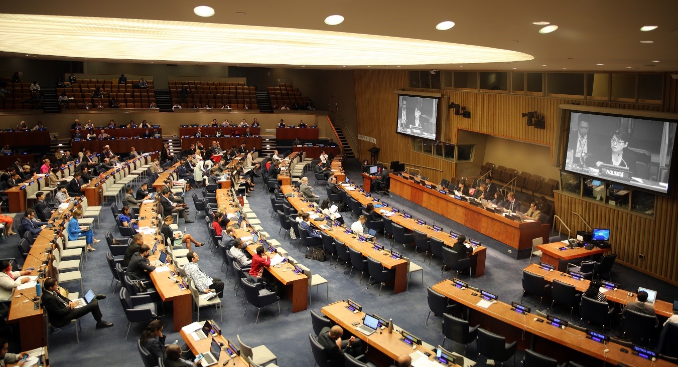 Colombia realizó aportes en la III Sesión de la Conferencia Intergubernamental para el desarrollo de un instrumento que regule la biodiversidad