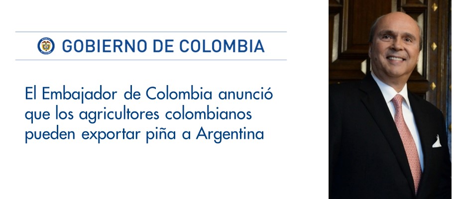 Embajador de Colombia anunció que los agricultores colombianos pueden exportar piña a Argentina