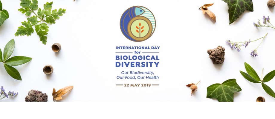 En el Día Internacional de la Diversidad Biológica “Nuestra Biodiversidad, Nuestra Comida, Nuestra Salud”, Colombia trabaja en medidas que permitan revertir perdida de diversidad 