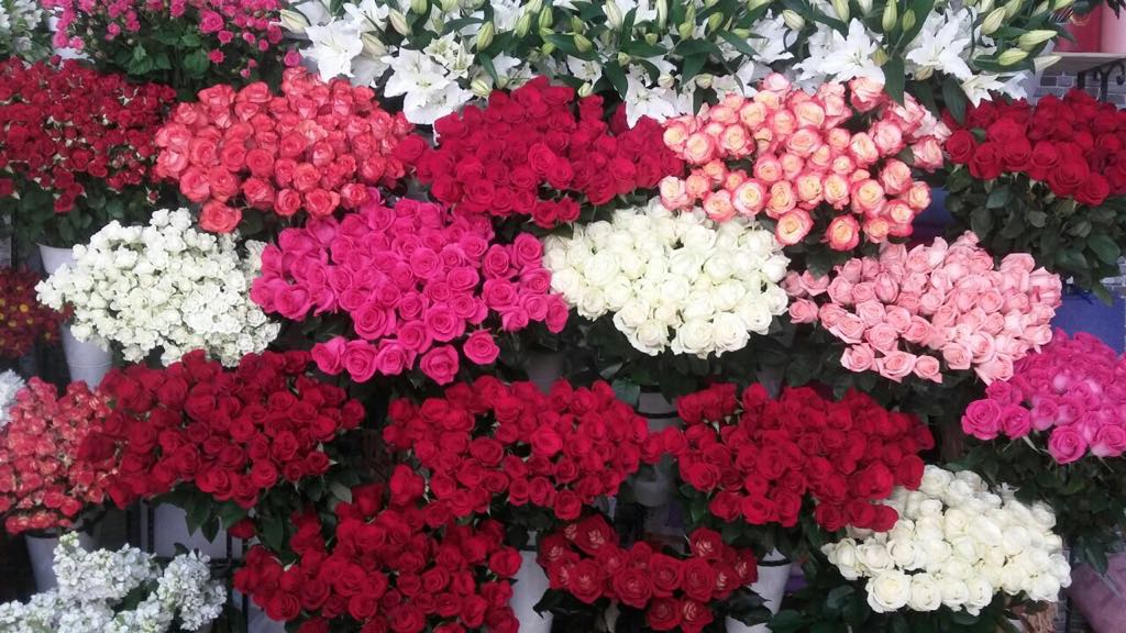 Llegada de flores colombianas a Azerbaiyán en 2018