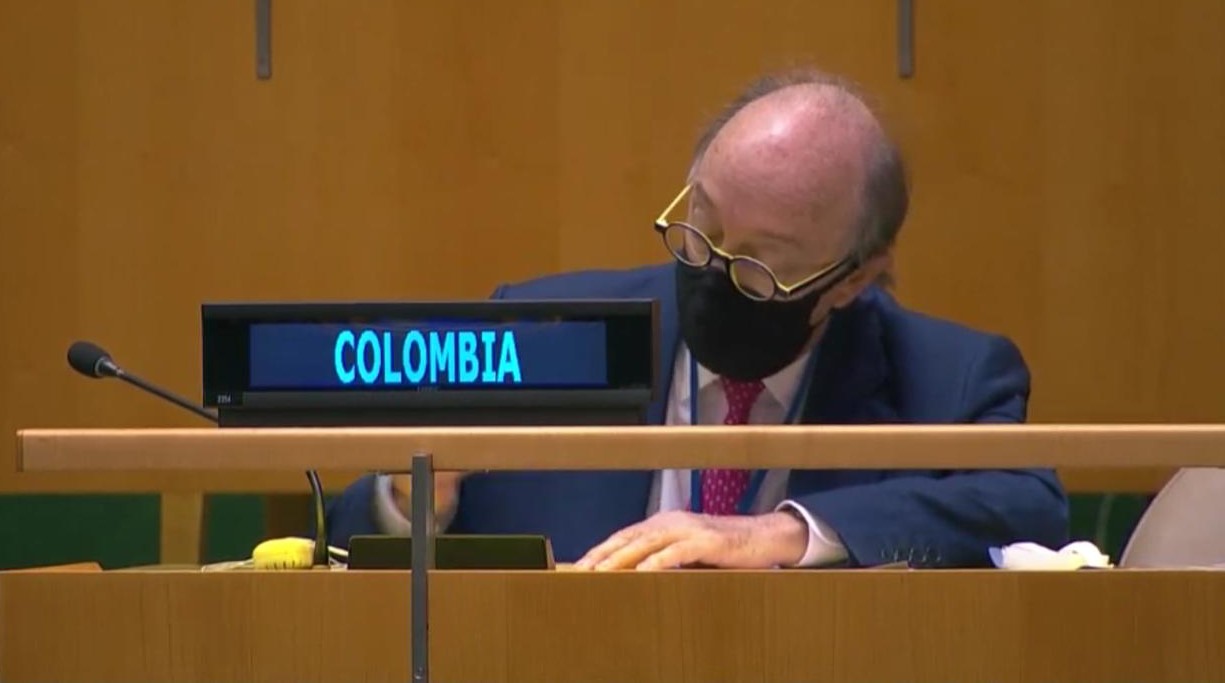 Colombia participa en las elecciones de la Organización de la Naciones Unidas