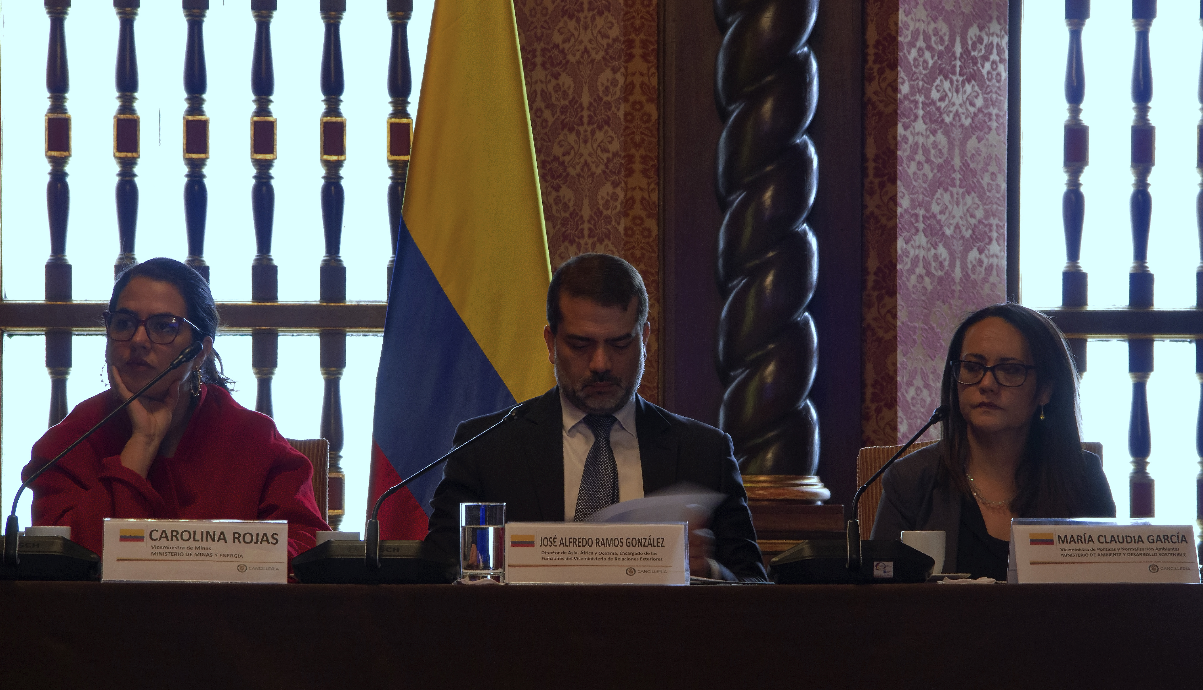 Lucha contra la deforestación, tema central de la III reunión de la Instancia de Alto Nivel para la Coordinación de  Acción Exterior