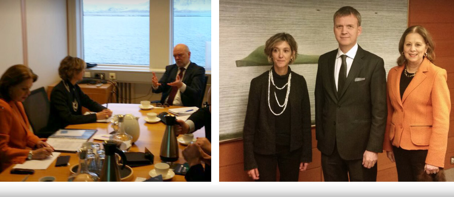 Viceministra de Relaciones Exteriores dialogó con su homólogo de Islandia sobre los avances del proceso de paz