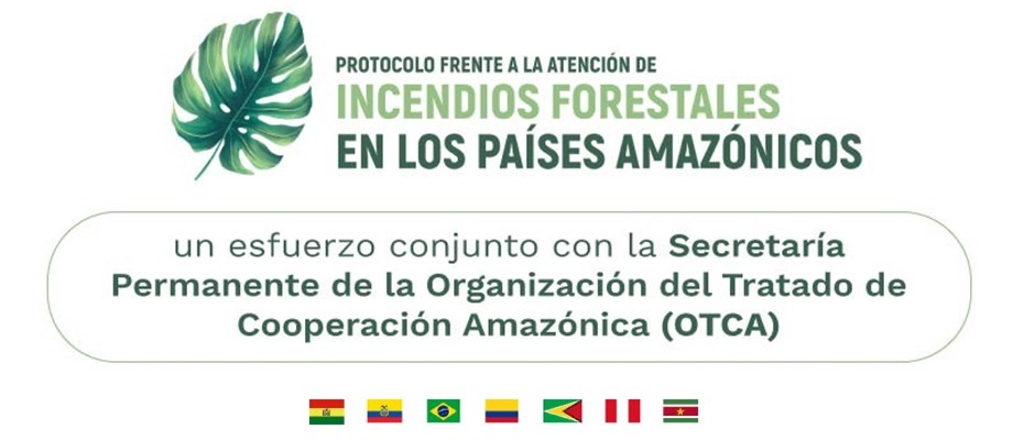 Los países del Pacto de Leticia lanzan Protocolo para el Manejo de Incendios Forestales