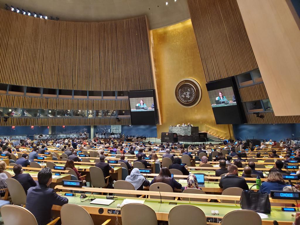 Nueva York (jun. 14/19). En elecciones realizadas el día de hoy, en el marco del 73°periodo ordinario de sesiones de la Asamblea General de la ONU, Colombia fue elegida como miembro del Consejo Económico y Social de las Naciones Unidas (ECOSOC) para el periodo comprendido entre el 1° de enero de 2020 y el 31 de diciembre de 2022, con un total de 172 votos.