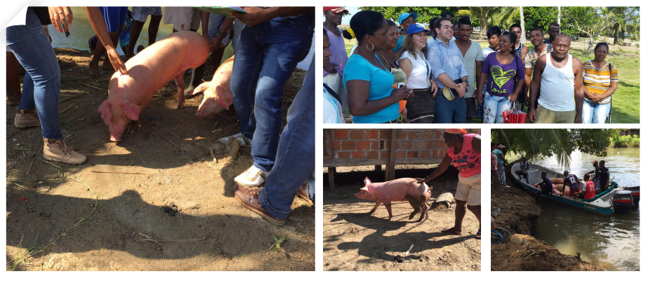 Cancillería, a través de Colombia Nos Une, apoyó el desarrollo de proyectos productivos en Juradó (Chocó)