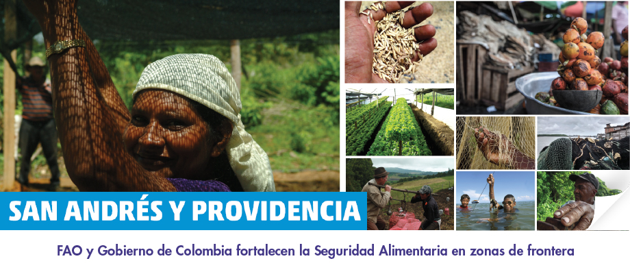 FAO y Gobierno de Colombia fortalecen la Seguridad Alimentaria en zonas de frontera