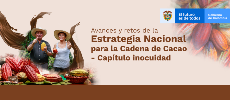 Estrategia Nacional para la Cadena de Cacao presenta sus avances y resultados en la transformación de la industria