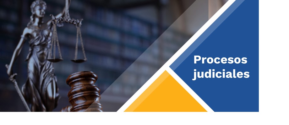 Consulte los procesos judiciales en los que es parte el Ministerio de Relaciones Exteriores  