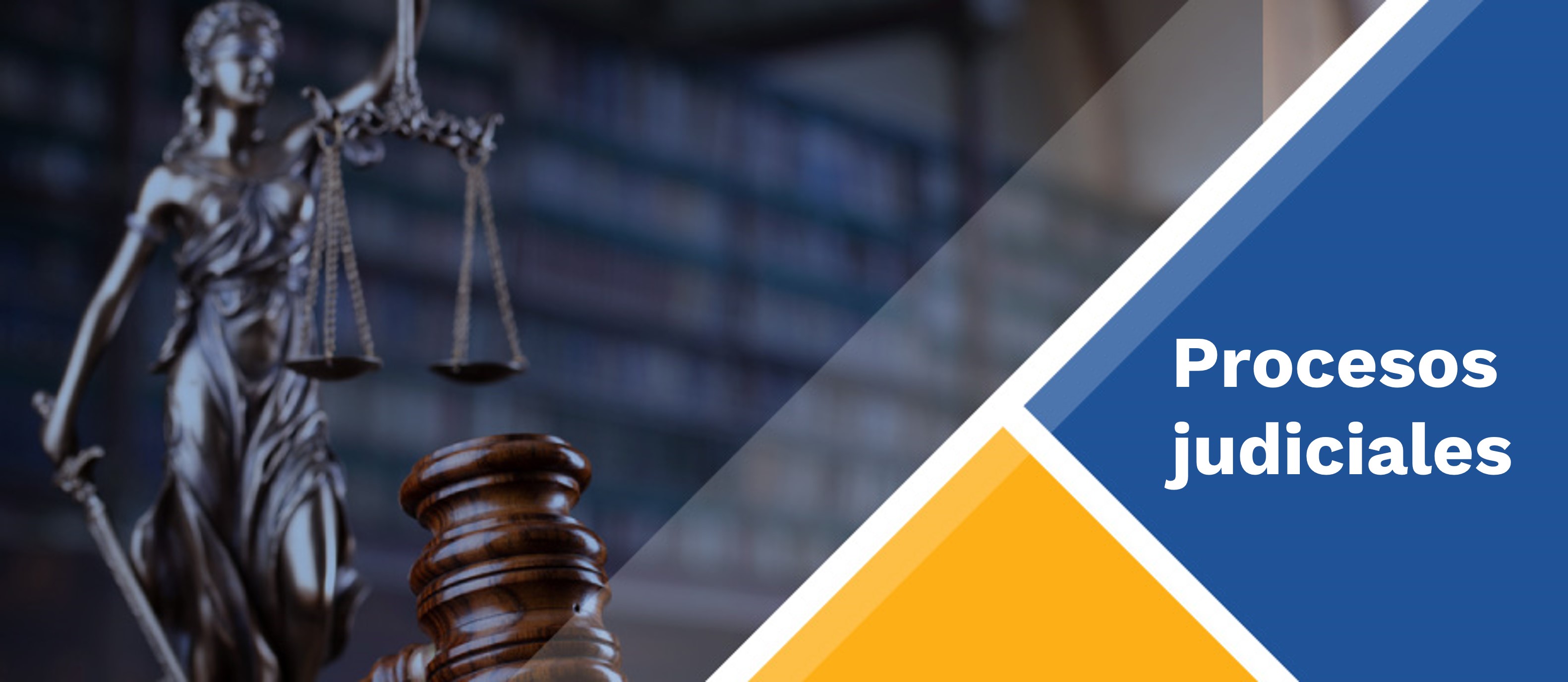 Consulte los procesos judiciales en los que es parte la Cancilleria