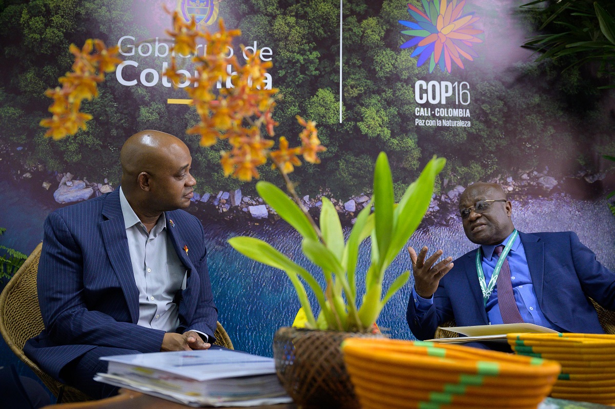 Foto del encuentro del Canciller Luis Gilberto Murillo con el ministro de Asuntos Parlamentarios de Ghana, Osei Kyei Mensah Bonsu.