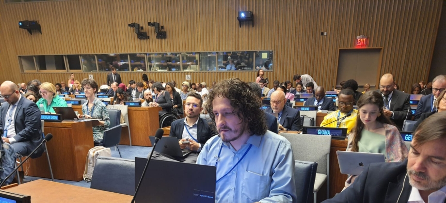 Colombia participó en la Convención sobre los Derechos de las Personas con Discapacidad de las Naciones Unidas