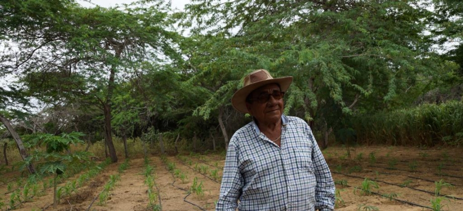 Dirección de Fronteras de la Cancillería fortalece el sistema productivo para la generación de ingresos de comunidades indígenas Wayuu en La Guajira