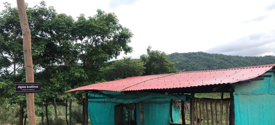 Dirección de Fronteras de la Cancillería fortalece el sistema productivo para la generación de ingresos de comunidades indígenas Wayuu en La Guajira