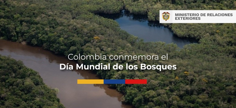 Colombia conmemora el Día Mundial de los Bosques