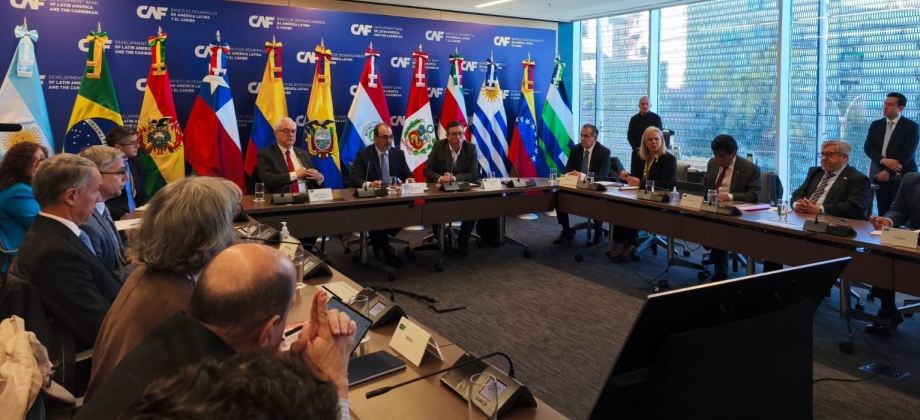 Colombia destaca continuidad de sus iniciativas en la primera reunión de coordinadores nacionales del Consenso de Brasilia