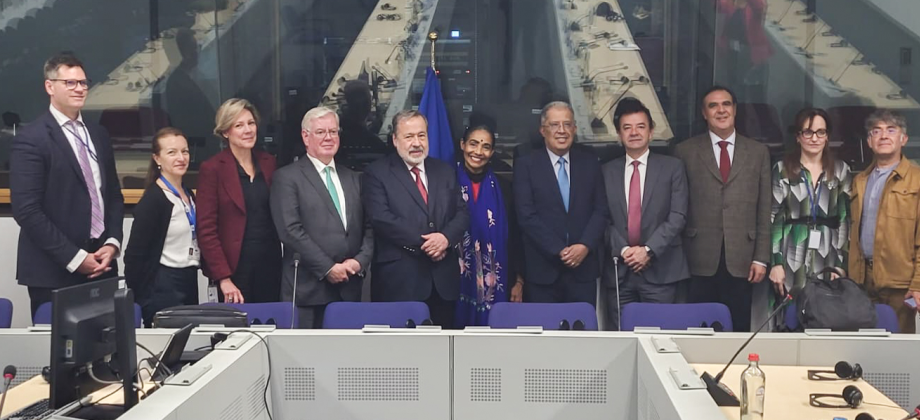 Comunicado de prensa conjunto: XIV Diálogo de Derechos Humanos entre la Unión Europea y Colombia
