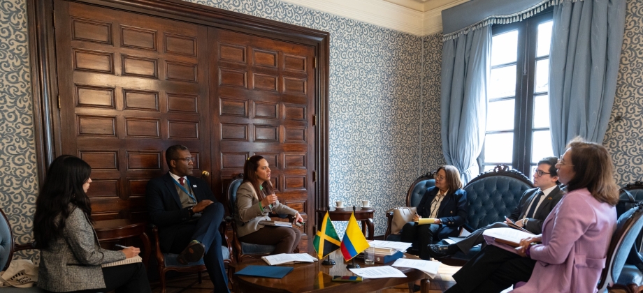 Directora para el Desarrollo y la Integración Fronteriza realiza seguimiento a los compromisos de la IX Comisión de Vecindad e Integración Fronteriza Colombia-Jamaica