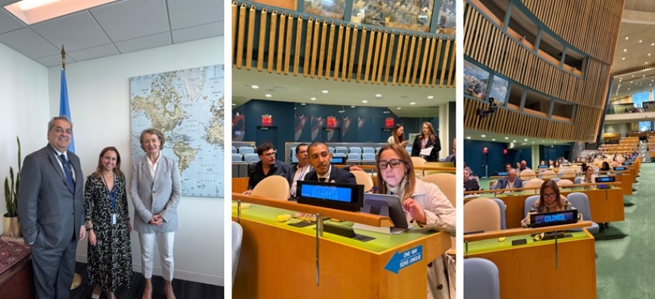 Colombia refuerza su compromiso con los derechos de las personas con discapacidad en la COSP18 de la ONU