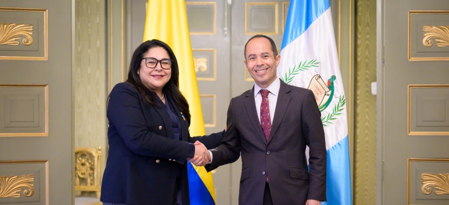Colombia y Guatemala realizaron la IV Reunión de la Comisión Binacional 