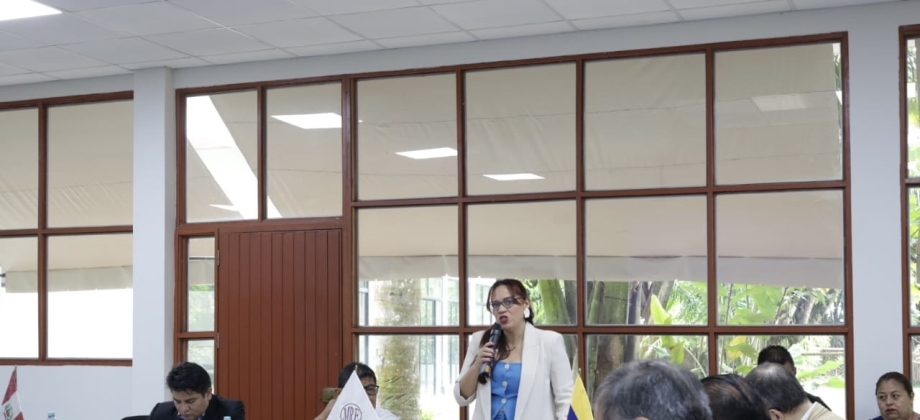 Directora para el Desarrollo y la Integración Fronteriza lidera participación en Comité Local de Gestión en Iquitos, fortaleciendo la cooperación binacional Perú – Colombia