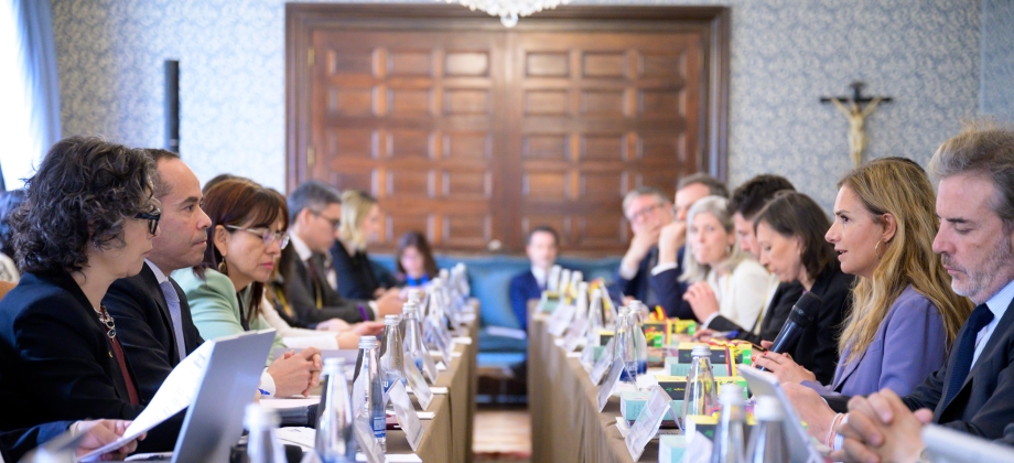 En encuentro entre el viceministro Daniel Ávila  y la secretaria Susana Sumelzo se resaltó la relación estratégica y el interés en profundizar los lazos lingüísticos, culturales y educativos entre Colombia y España