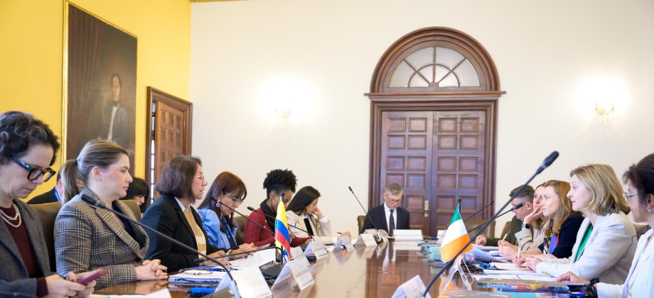 Colombia e Irlanda participaron en la III reunión de consultas políticas