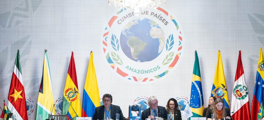 Colombia preside Reunión Extraordinaria del Consejo de Cooperación Amazónica