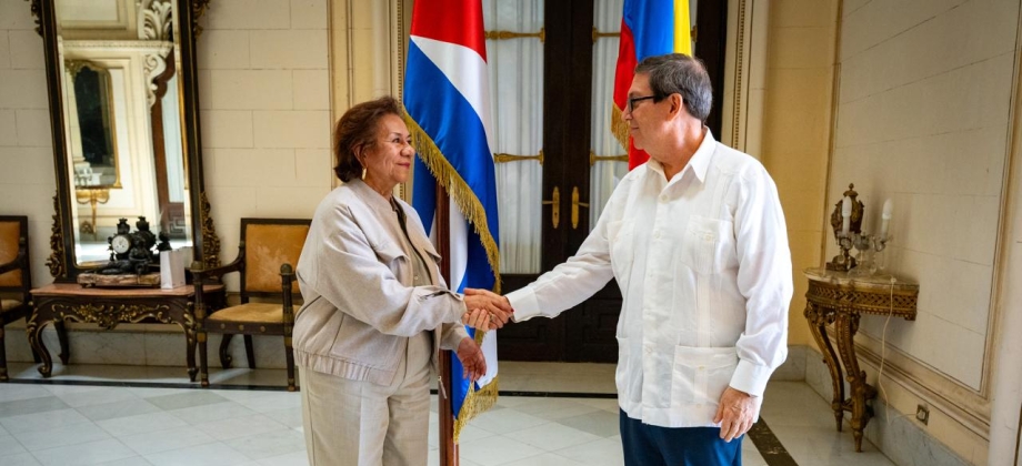 Canciller (e) Rosa Yolanda Villavicencio Mapy adelanta agenda diplomática de alto nivel
