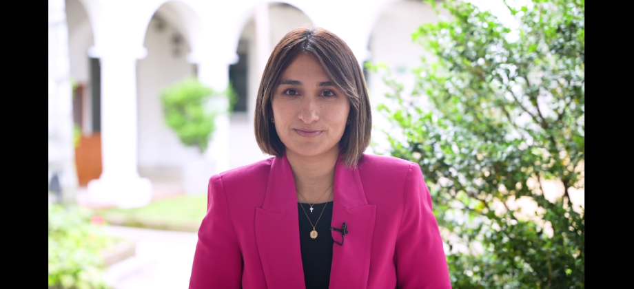 Captura de pantalla de la Canciller Laura Sarabia