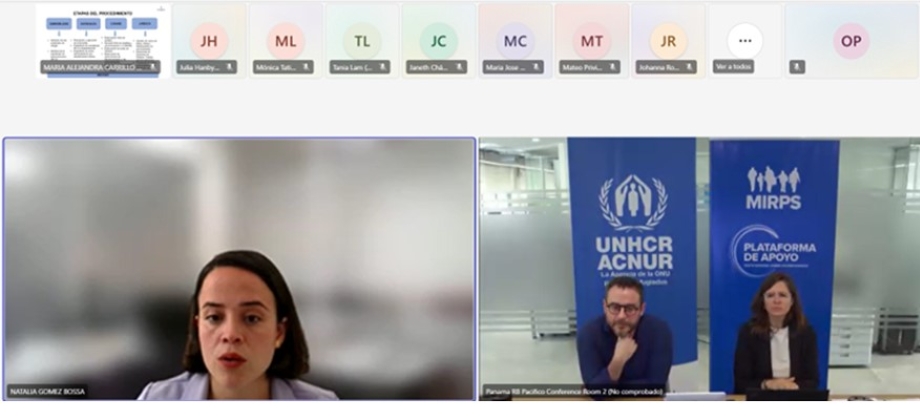 Ministerio de Relaciones Exteriores lideró el Evento de Aprendizaje sobre Protección Internacional de la Plataforma de Apoyo del Marco Integral Regional para la Protección y Soluciones