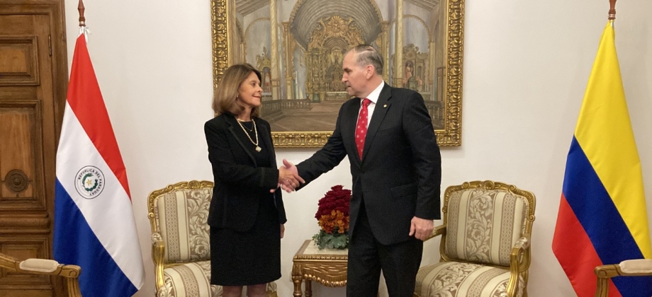 Reunión de la Vicepresidenta y Canciller con el Ministro de Relaciones Exteriores Julio César Arriola.