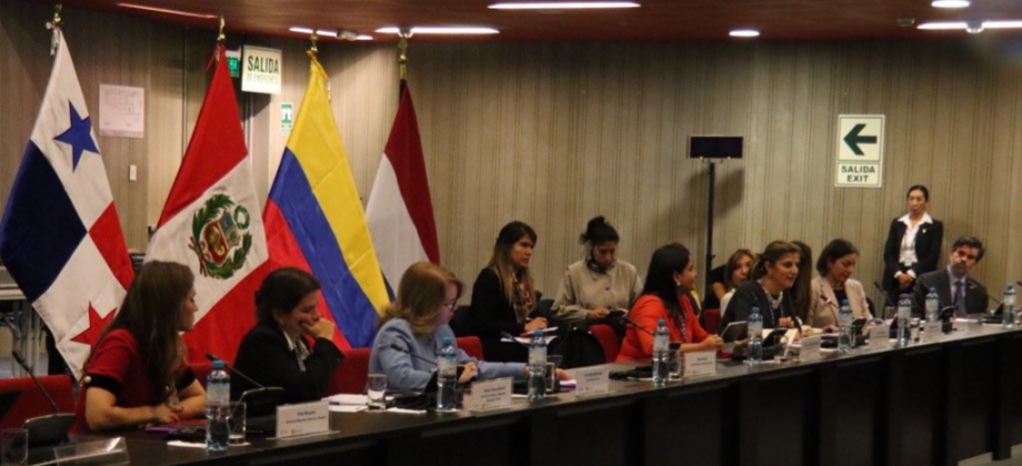 “Estamos en una región donde el feminismo todavía es mala palabra y lo que le debemos decir a nuestros Estados es que reivindiquen esa palabra” Viceministra Gil en Asamblea General de la OEA