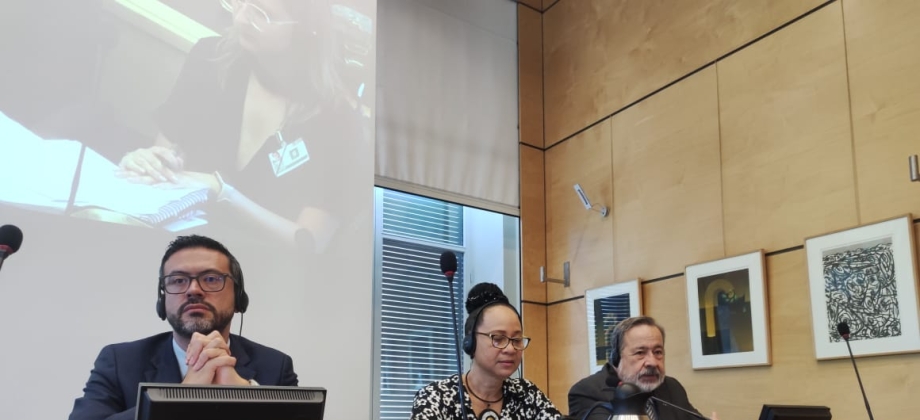 Concluyó el diálogo de Colombia con los miembros del Comité de Derechos Humanos de Naciones Unidas