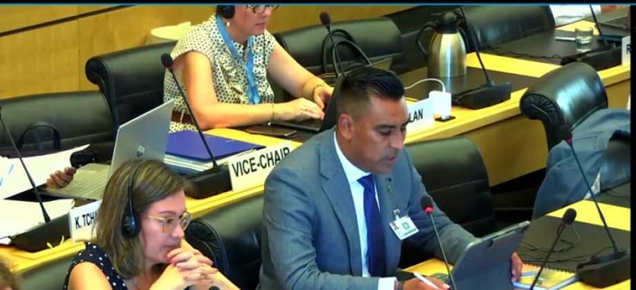Concluyó el diálogo de Colombia con los miembros del Comité de Derechos Humanos de Naciones Unidas